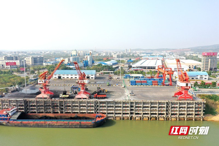 图为津市港国际集装箱码头现场。