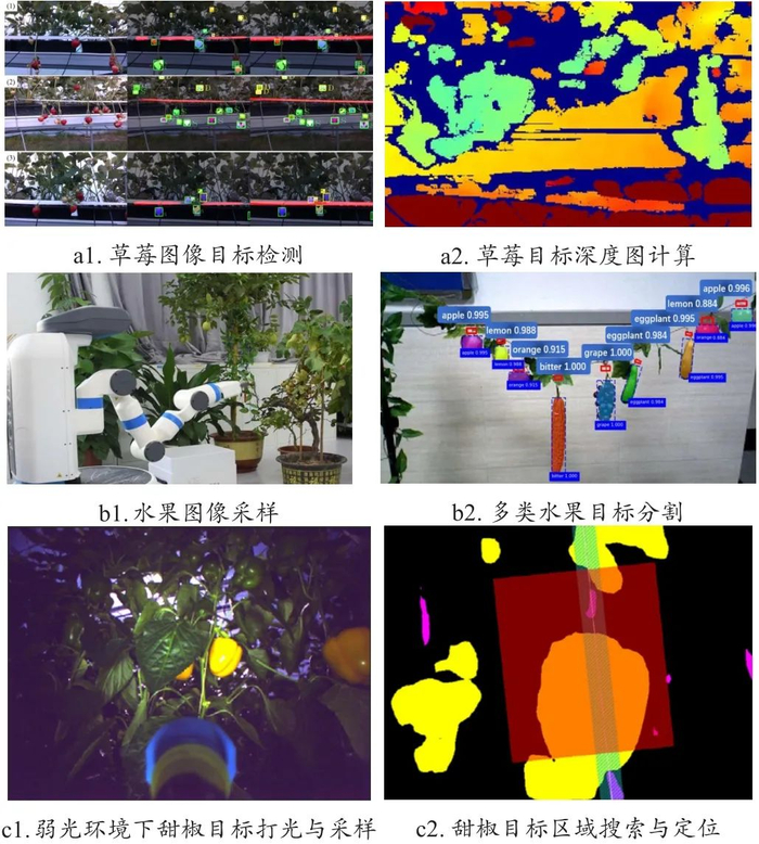 图3　基于高级特征学习方法的局部目标视觉感知效果示意图