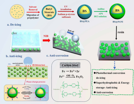 图1. BS@PANI微胶囊的制备及复合涂层功能示意图。
