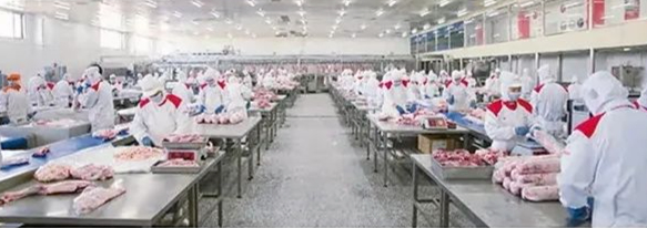 草原鑫河屠宰分割加工厂区 图片来源于草原鑫河