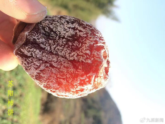 苏阳柿饼。受访者供图
