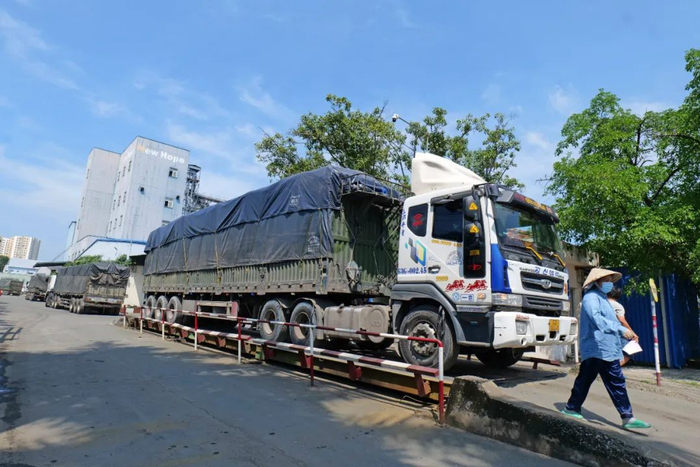 新希望胡志明饲料厂外，拉饲料的货车排起长队