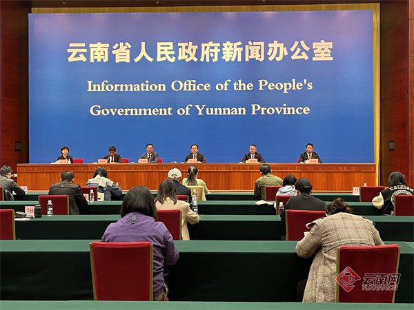 发布会现场 杨苑 摄