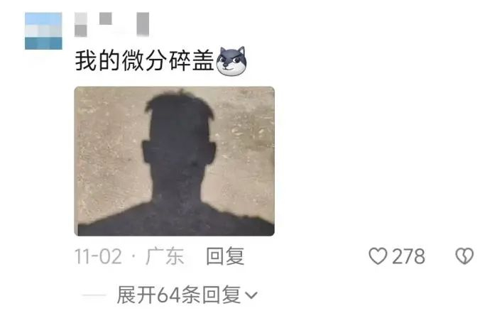 网友评论截图