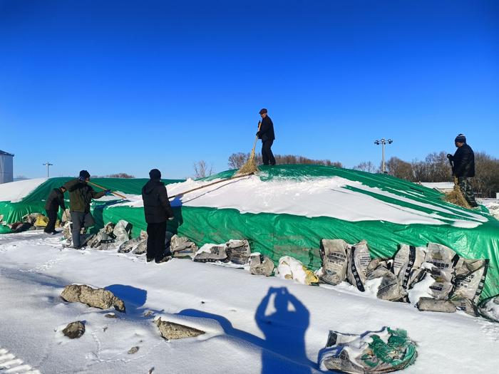 清理粮堆上的积雪