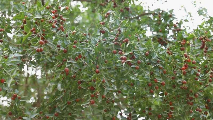 图源：喀什市融媒体中心