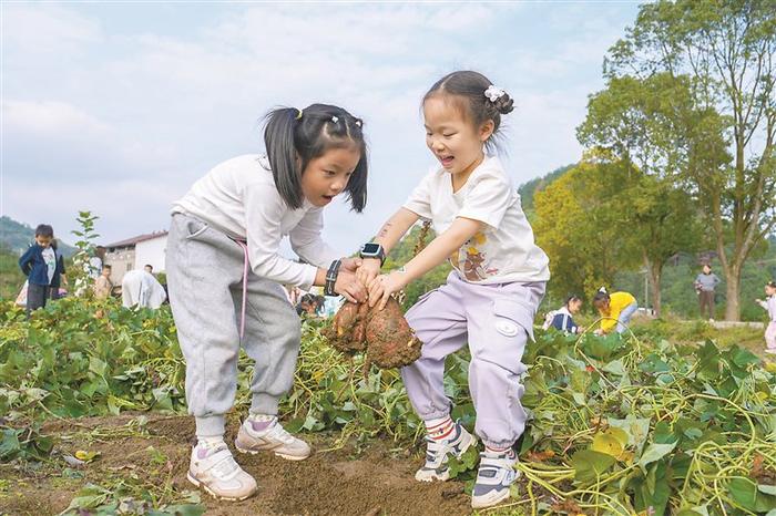 近日，在重庆市北碚区天府镇三间田艺术农场，参加研学活动的孩子们在体验挖红薯。 新华社发（秦廷富 摄）