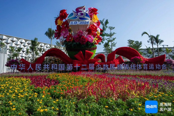 11月6日，三亚市在鹿城大道与抱坡路交叉口，主题为“喜迎盛会”的景观花坛。海南日报全媒体记者 李天平 摄