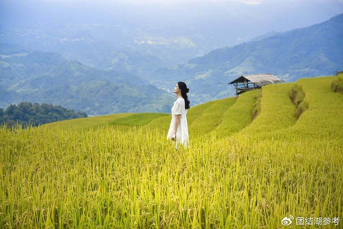 图片来源：pixabay