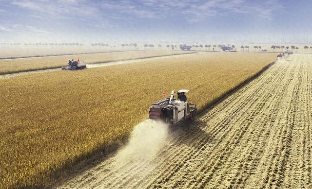 秋收。来源：视觉中国