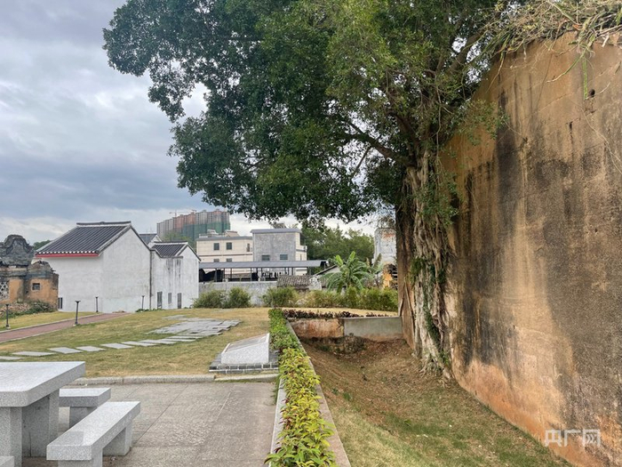 仙塘镇红光村（央广网见习记者  张顺鹏  摄）