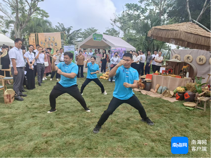 屯昌坡陈武术展示。记者 任桐 摄