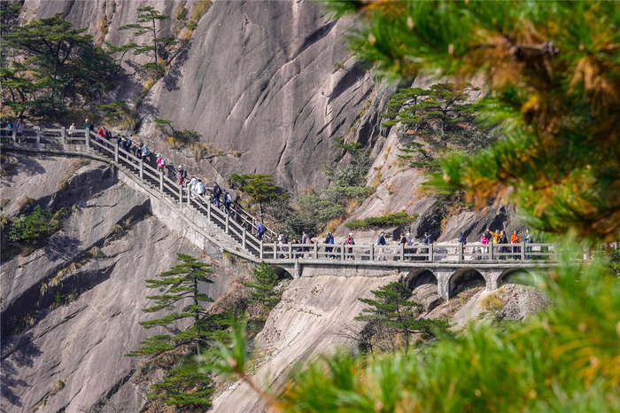 11月5日，黄山风景区风景如画，众多游客前来登山赏景，感受黄山魅力。 本报记者 范柏文 摄