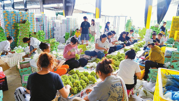 宾川县管岗村移民后扶项目助产业发展、移民增收。