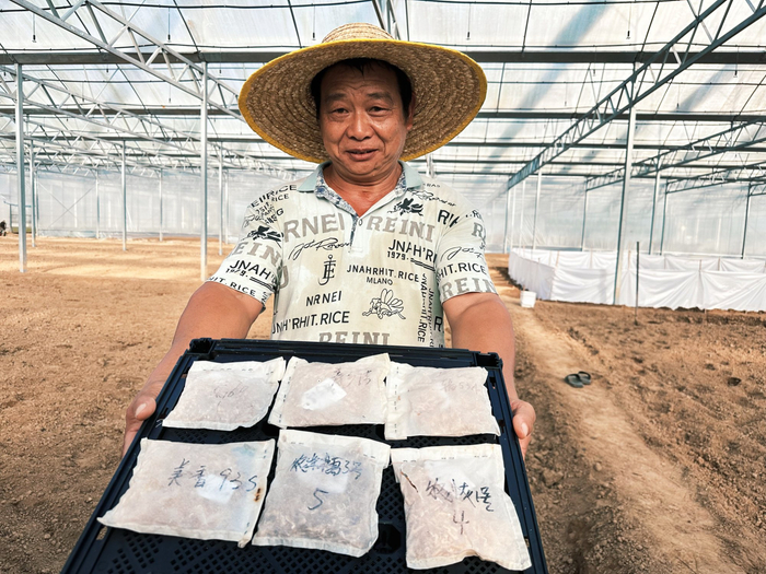 准备入地的“太空种子”（央广网记者  索迪  摄）