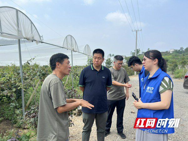 帮扶工作队在帮扶基地调研。