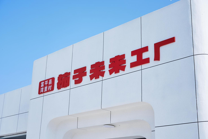 （富平县湾里村柿子未来工厂）