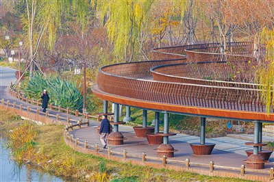 11月12日，海淀区清河之洲滨水绿廊公园，市民走在公园里。新京报记者 王子诚 摄