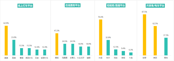图6 “差异化营销”问题较多的各类平台