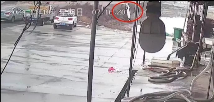 轿车翻入虾池中