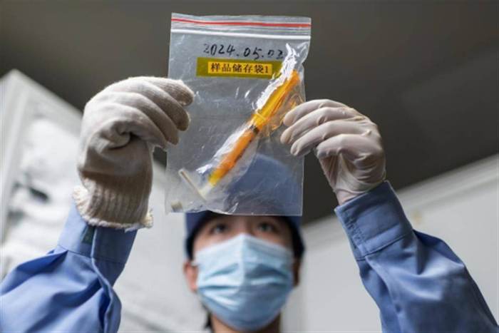 2024年11月4日晚，水生所博士生张宪园观察回收水样样本，并将其储存于超低温保存箱中。（湖北日报全媒记者 任勇 摄）