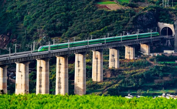 行驶在中老铁路上的列车。杨林 摄