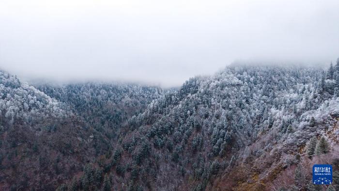 这是11月18日拍摄的官鹅沟国家森林公园雪景（无人机照片）。新华社记者 郎兵兵 摄