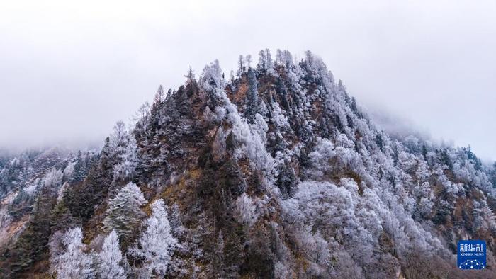 这是11月18日拍摄的官鹅沟国家森林公园雪景（无人机照片）。新华社记者 郎兵兵 摄