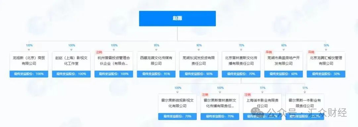 目前赵薇所控制的企业仅有7家存续，另外5家企业中3家处于注销状态、2家被吊销。