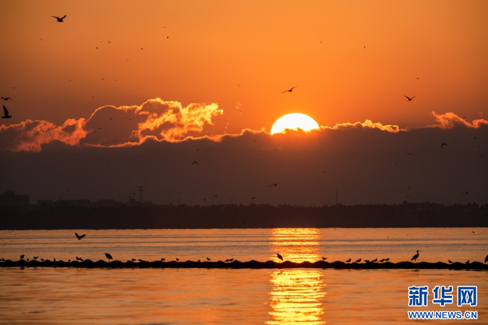 昆明市滇池边拍摄的日出。新华社记者 胡超 摄