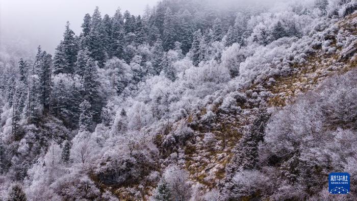 这是11月18日拍摄的官鹅沟国家森林公园雪景（无人机照片）。新华社记者 郎兵兵 摄