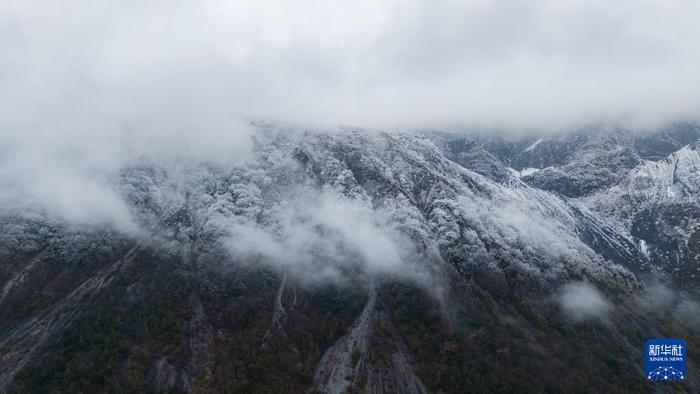 这是11月19日拍摄的文县天池国家森林公园雪景（无人机照片）。新华社记者 郎兵兵 摄