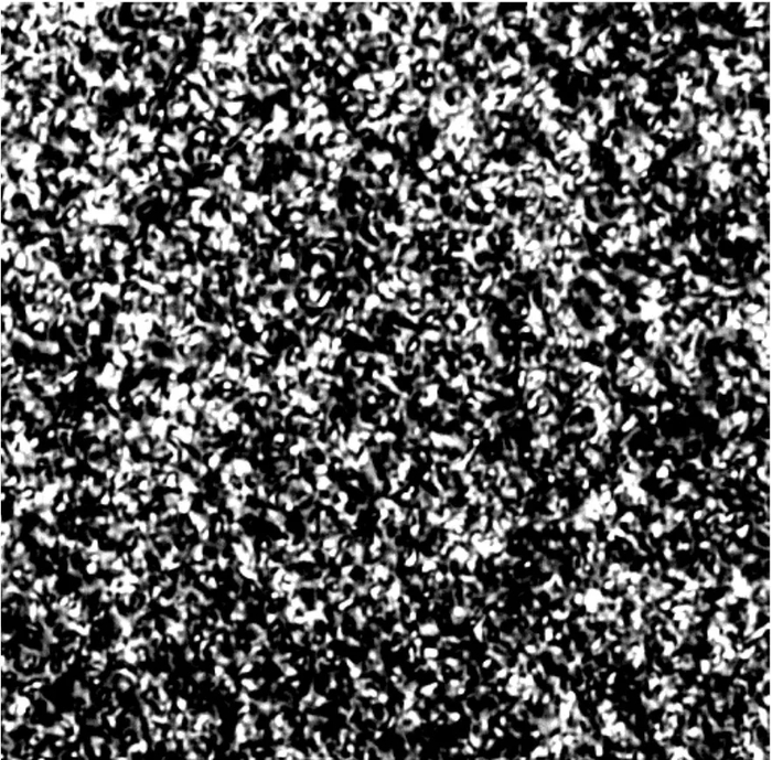 图1：150℃进行高浓度Al离子注入，激活退火后的SiC表面照片