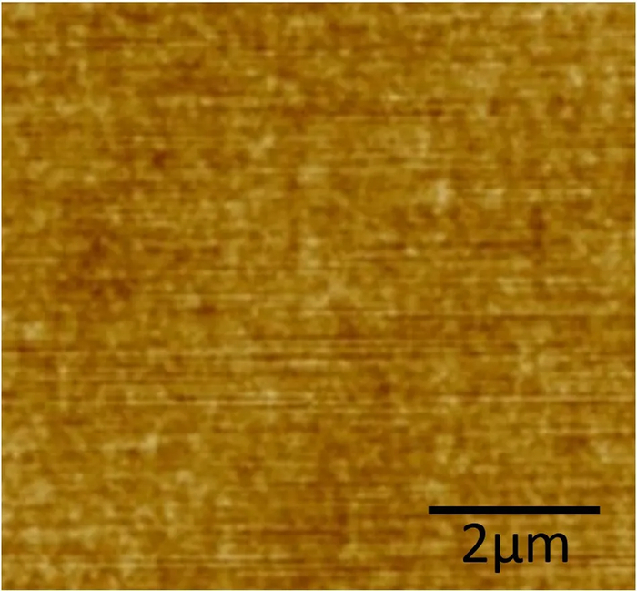图4：有碳保护膜，激活退火后SiC表面的AFM图像