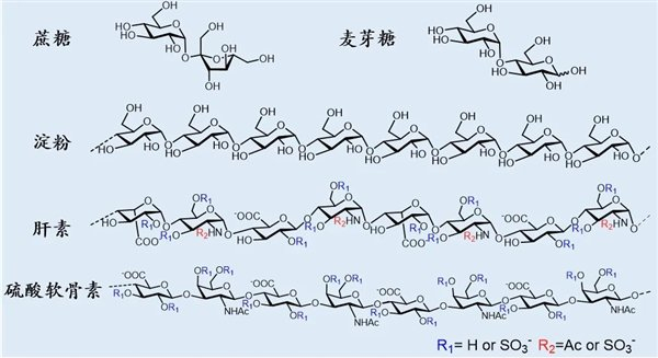 化学家眼中的糖。图片来源：作者提供