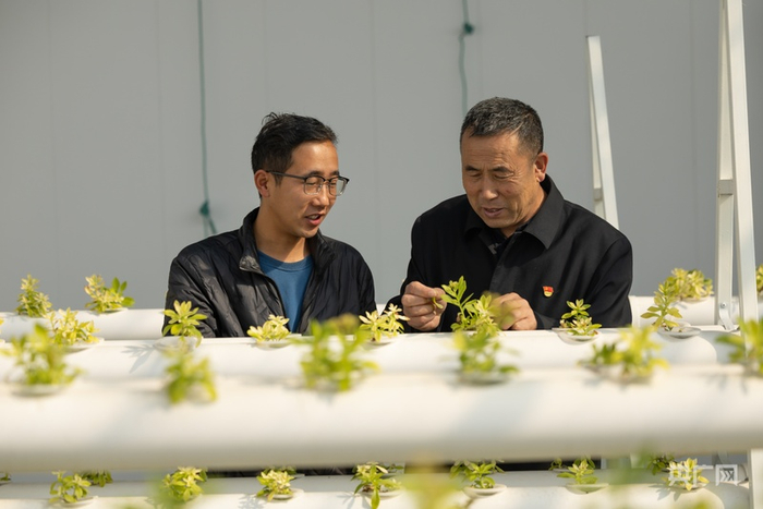 有了年轻技术人员的加入，宋家沟村设施农业发展如火如荼（央广网记者  郎麒  摄）