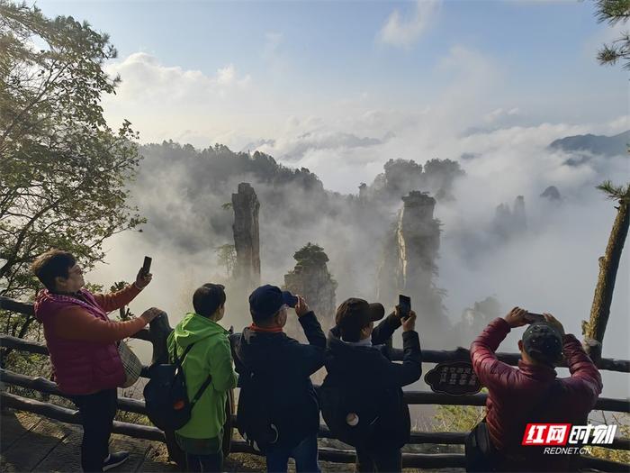 游客纷纷拍照