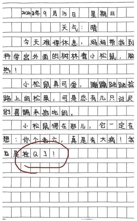     在学生的答题中（左侧两图）和日记（上图）里都出现了一些网络用词。