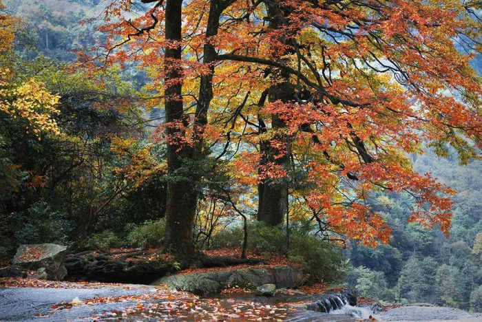 （小草坝风景）