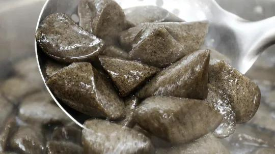 用剪刀剪成小块的鸡屎藤籺仔。郭龙碧 摄