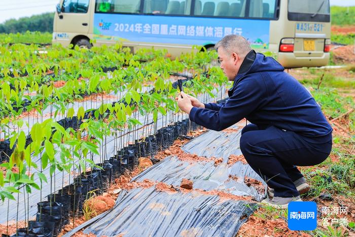 媒体代表拍摄种苗基地内培育情况。主办方供图