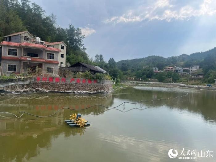 桃坡村“东营·酉阳桃花源高山大闸蟹”养殖基地。人民网 顾玉雪摄