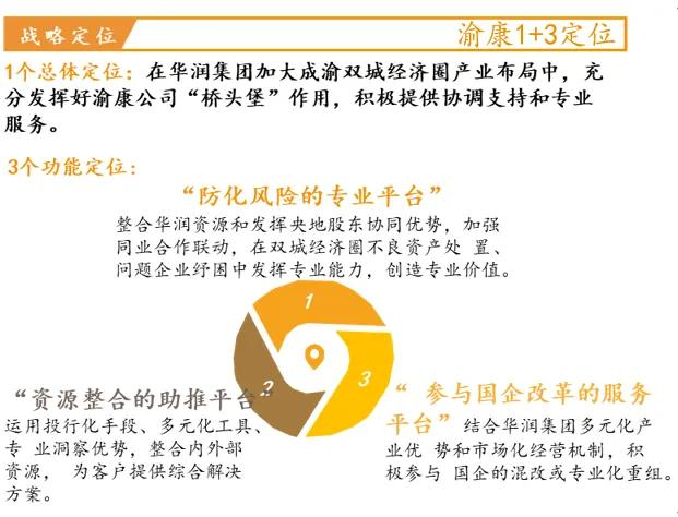 图1 集团赋予渝康公司“1+3”战略定位，指明央地合作路径