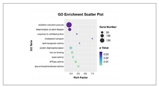 图注：RNA靶点涉及的不同生理过程和富集程度
