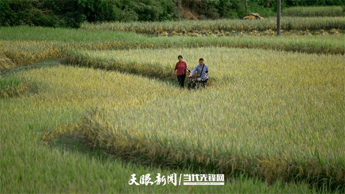 电影《喀斯特》展现贵州自然风貌，图为拍摄剧照