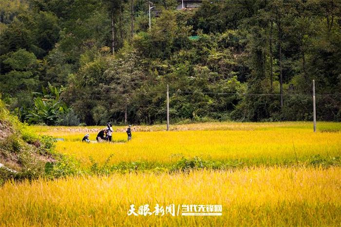 电影《喀斯特》展现贵州自然风貌，图为拍摄剧照