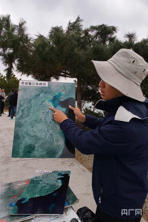 在老铁山猛禽监测大平台，工作人员介绍猛禽迁徙路线（央广网记者 于芳菲 摄）