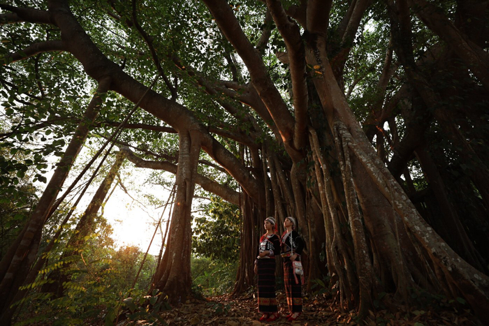 ▲耿马县融媒体中心供图