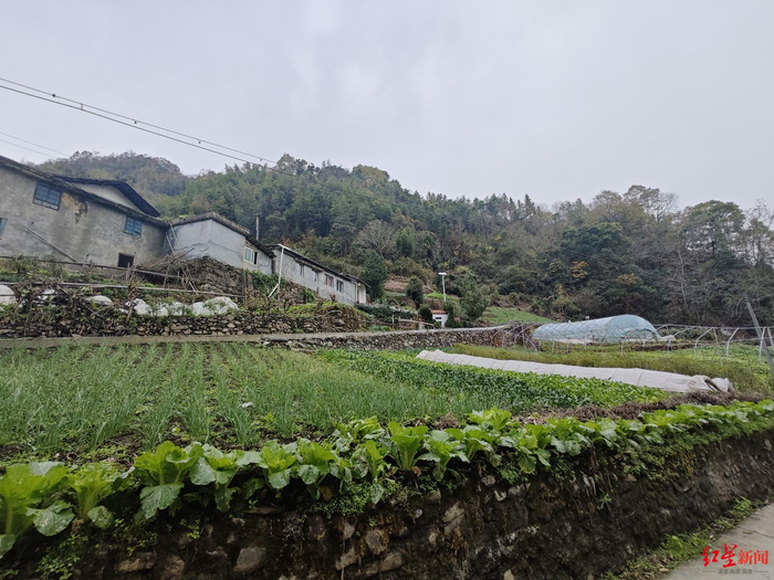 ▲身亡老人家所在的位置