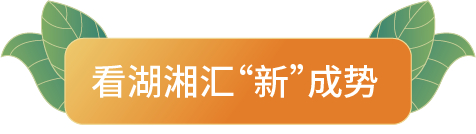 中儲糧金鼎食用油恢復上架